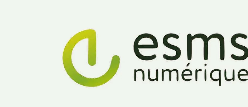 ESMS Numérique
